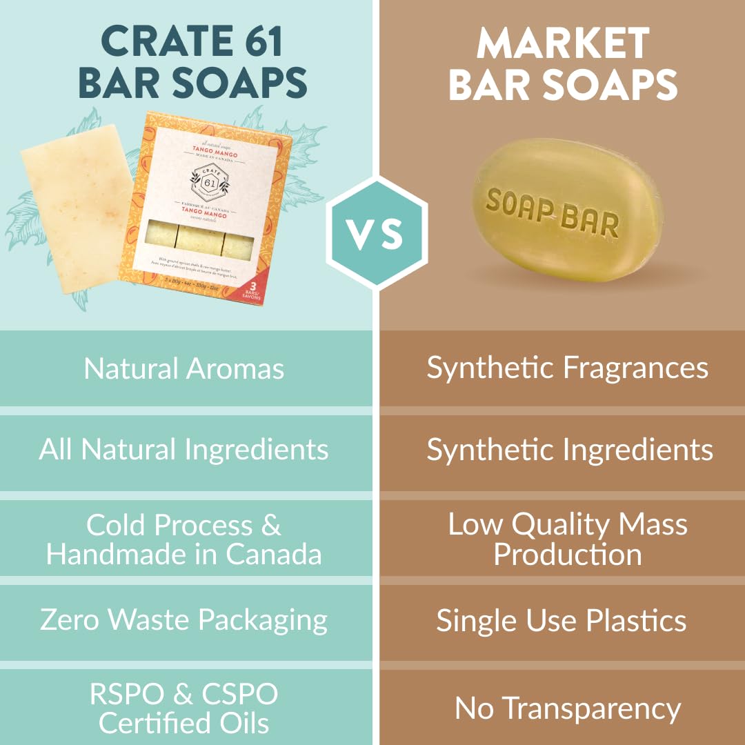 Handmade in Canada, Plant Based Cold Process Natural Bar Soap For Face And Body, With Premium Essential Oils, For Men And Women 3 Pack (Alpine & Spice)