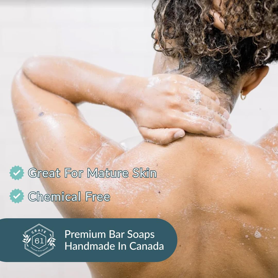 Handmade in Canada, Plant Based Cold Process Natural Bar Soap For Face And Body, With Premium Essential Oils, For Men And Women 3 Pack (Alpine & Spice)