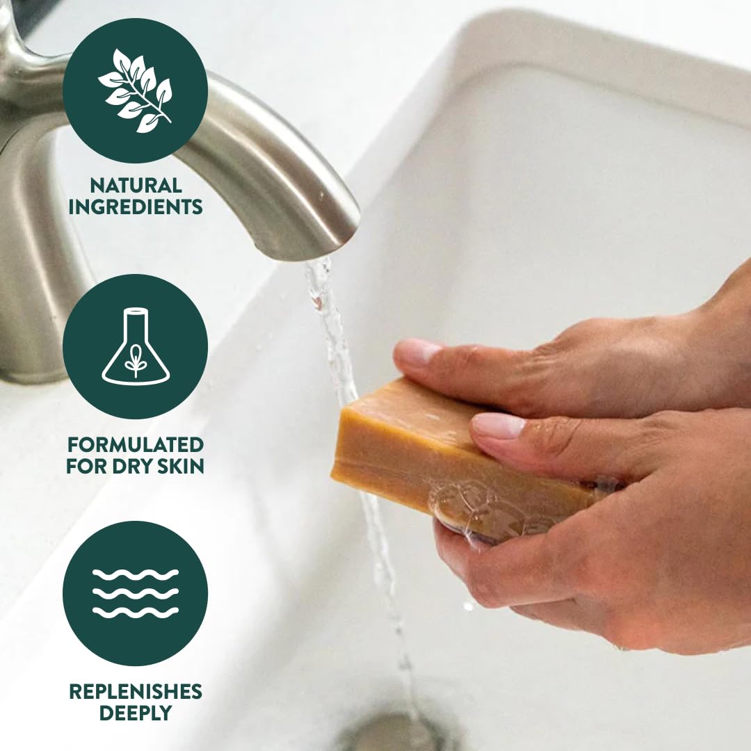 Handmade in Canada, Plant Based Cold Process Natural Bar Soap, With Premium Essential Oils, Dry Skin, Pack of 6 (For Him)